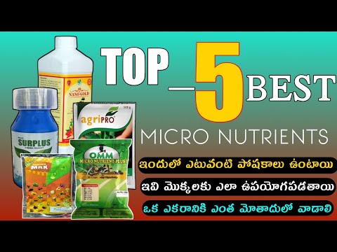TOP-5/Micro nutrient fertilizers/ product/plant mirconutrients /How to Use micro nutrients