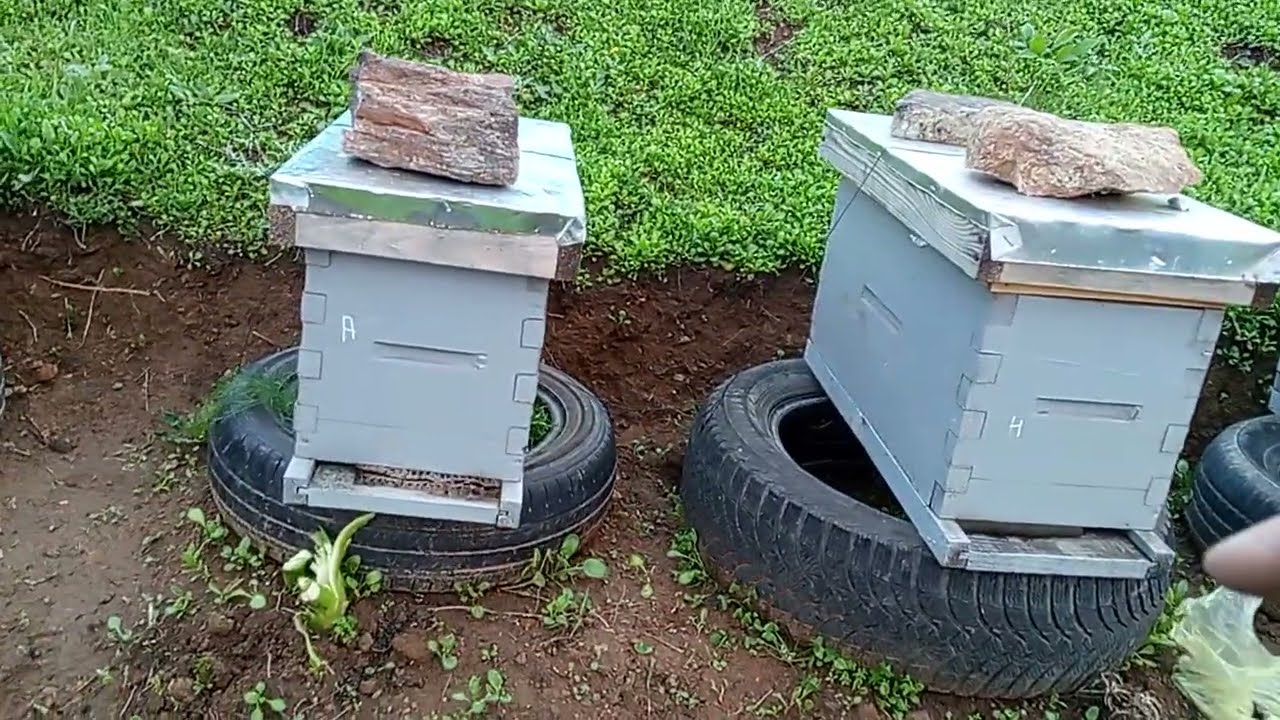 طريقة تثبيت الخلايا لحمايتها من الرياح القوية