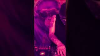 Minimal Tech House. @UNIVERSALTECHPULSE303