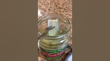 On the topic of demonstrating proper use of a pickle fork