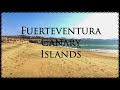 Oasis Park - Corralejo - Cofete, Fuerteventura, Canary Islands 🇪🇸 4K