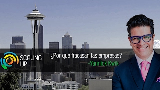 Fracasos en la empresa - ¿Por qué fracasan las empresas?