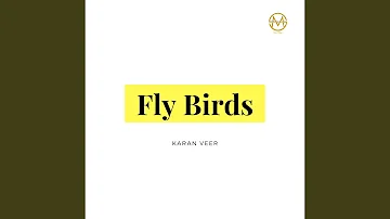 Fly Birds