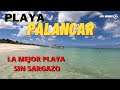 PLAYA PALANCAR La mejor playa de Cozumel sin SARGAZO / Que hacer en Cozumel ? / Junio 2021