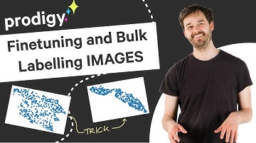 Finetuning and Bulk Labelling IMAGES with Prodigy