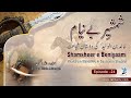 Shamsheer e beniyam  episode 24