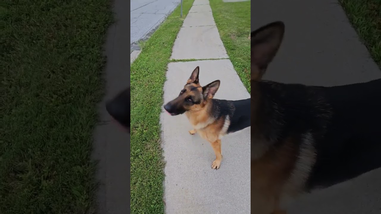 Pal understood the assignment! 