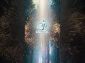 🎧 Josh Dirschka – Forest Dwellers 🌲✨ FOREST FREQUENCIES AWAKENED ✨🌲