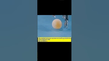 This surgical Robot can separate raw quail egg shells from their membrane with high precision.😮 #ai