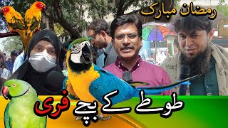 Lalukhet Exotic Parrots and Rare Birds Market Karachi 24-3-2024 Latest Update in Urdu\/Hindi