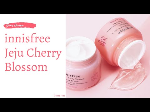 innisfree Jeju Cherry Blossom Review Chi Tiết Và Hướng Dẫn Sử Dụng