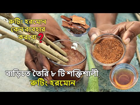 ভিডিও: শব্দগুচ্ছ গঠন গাছ কি?