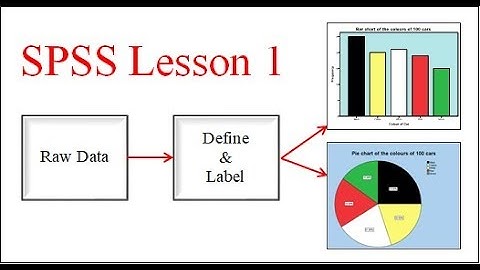 SPSS - bar and pie charts