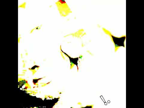 افجر و اجداد حالات واتس مهرجانات حمو الطيخا 2022 واقع علي عقلي و مش باقي لسه منزلش