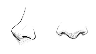 How to draw noses (for beginners)