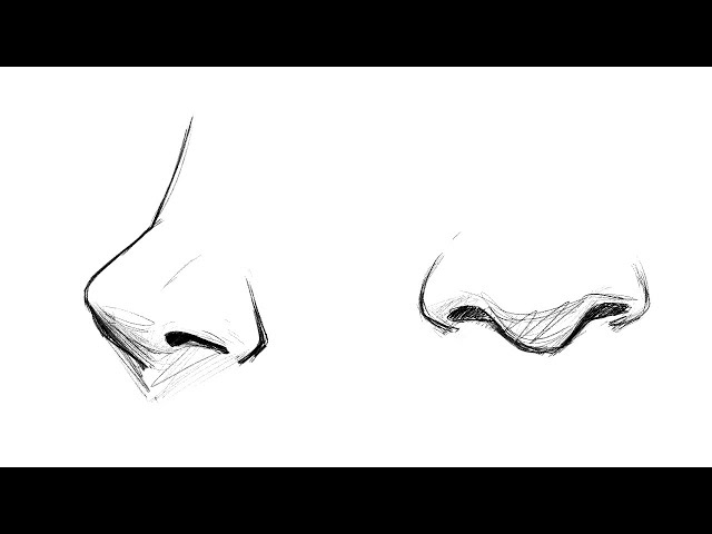 10 Amazing Nose Drawing Tutorials & Ideas - Brighter Craft | Nose drawing,  Sketches, Drawings