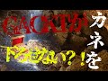 GACKTの勝ち方 特装版 朗読CD 試聴動画 vol. 013「ＧＡＣＫＴがカネを下ろせない？」