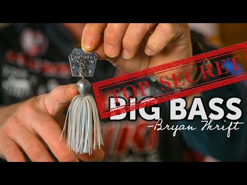 Top 5 Baits for Fall Bass Fishing - Bryan Thrift