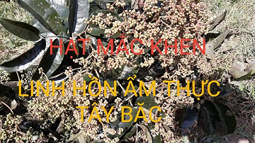 HẠT MẮC KHÉN LINH HỒN ẨM THỰC TÂY BẮC