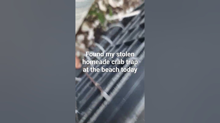 found my stolen crab trap #beach #fyoupage #adventure #summer #fishing #lobster #ocean #sea #nature
