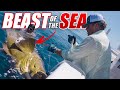 We Caught the BEAST of the SEA!! - SMC 21-08