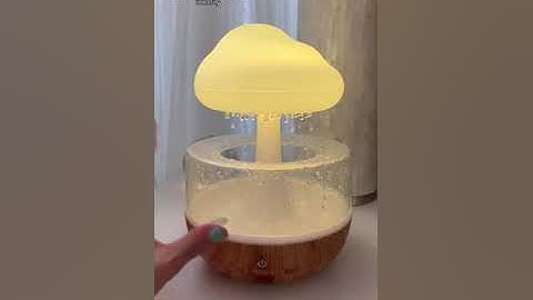 Weljoyzen RainCloud Humidifier