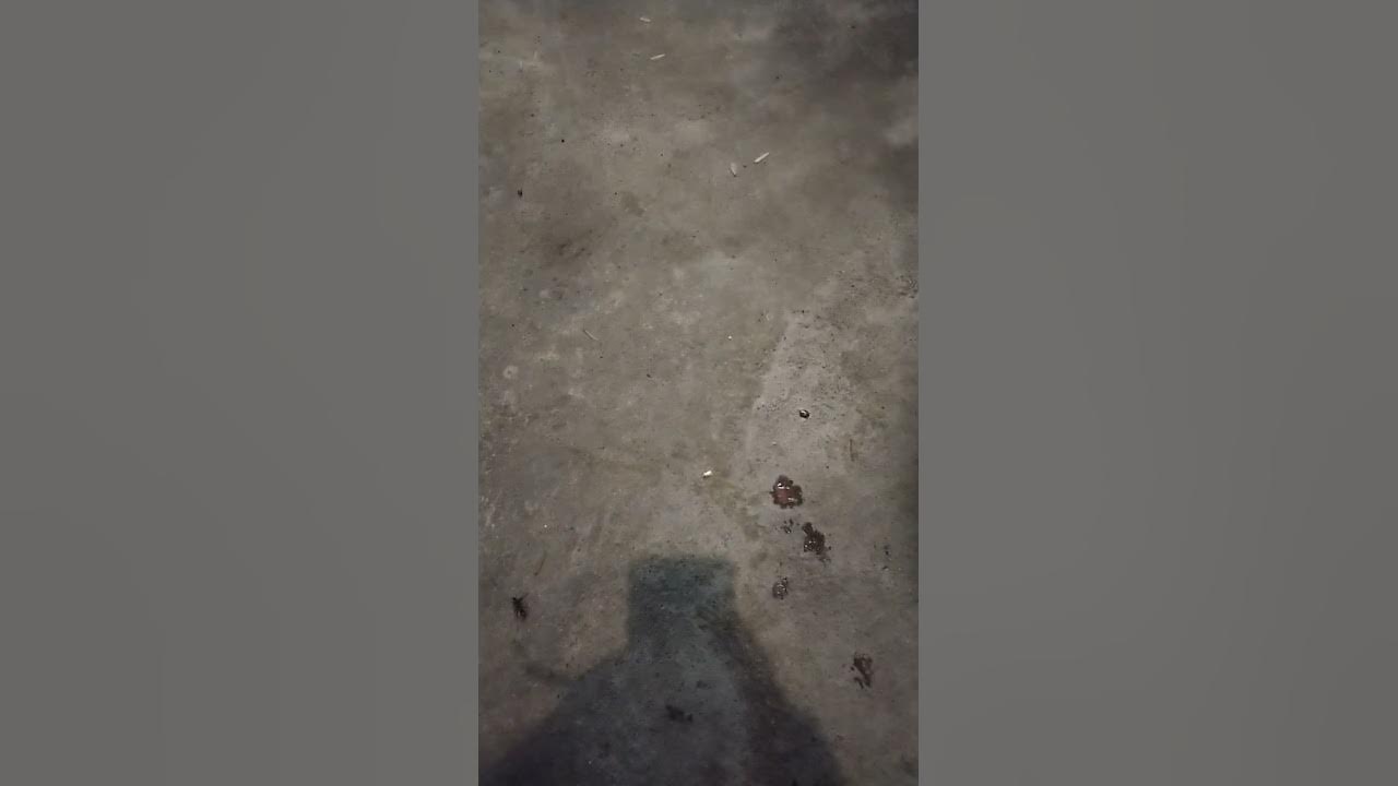 Kolok Kolok - YouTube