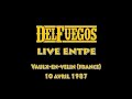 Capture de la vidéo The Del Fuegos Live @Entpe - Vaulx-En-Velin (France) - 10 Avril 1987