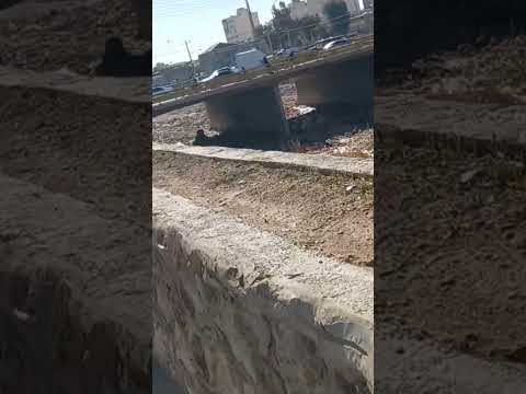 شیراز جاده ساحلی رودخانه خشک