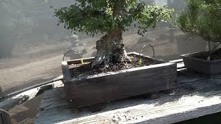 Expanding Nursery Tour  August 2026