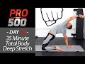 35 Minute Full Body Deep Stretch Yoga for Athletes - PRO 500 Day 14