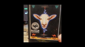 Sheep in Space (C64, 1984) #shorts