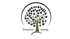 Tranquility Woods Luxury Addiction Treatment Virtual Tour