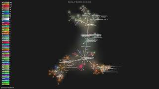 Famous amantus-ai/vibetunnel - Gource visualisation Wealth
