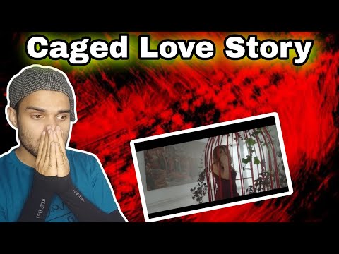 نوال الزغبي لسه باجي على بالك فيديو كليب        