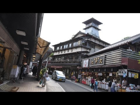 Top10 Recommended Hotels in Narita, Japan