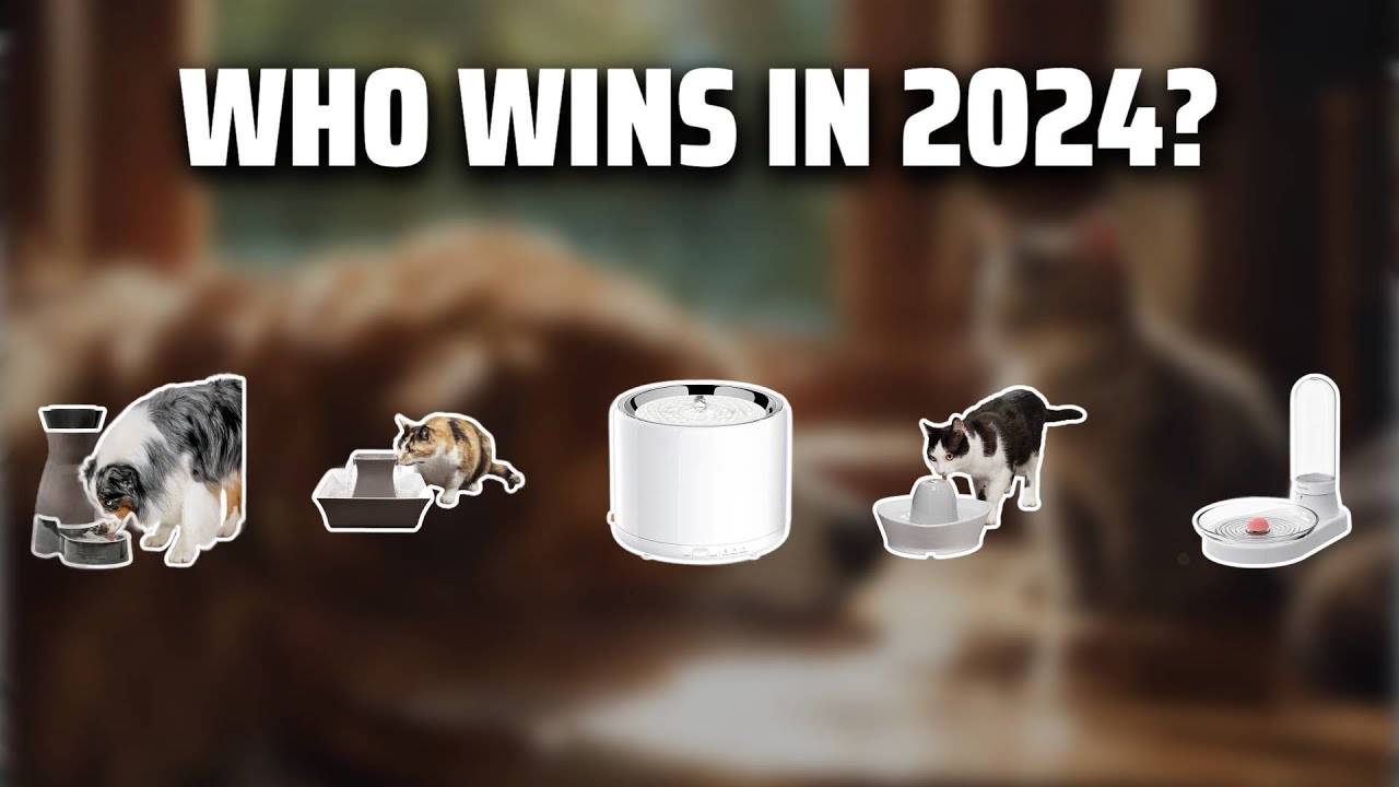 The Best Pet Water Fountains in 2024 - Must Watch Before Buying!