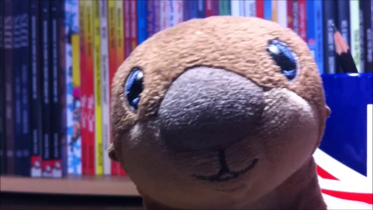 Comment nourrir une loutre ?