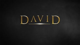 David - The Reluctant Hero