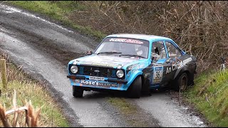 Best of Rallying 2020 (HD)