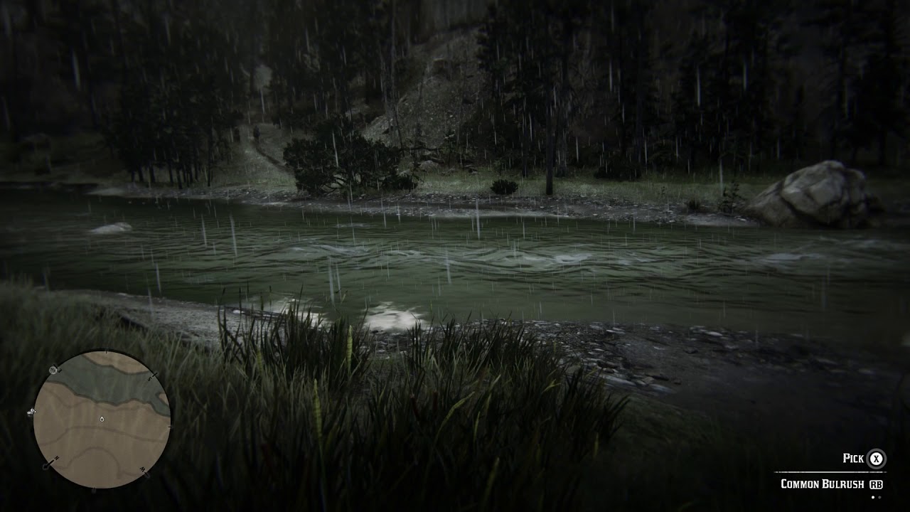 Common Bullrush Plant Location Red Dead Redemption 2 (RDR2 Herbs