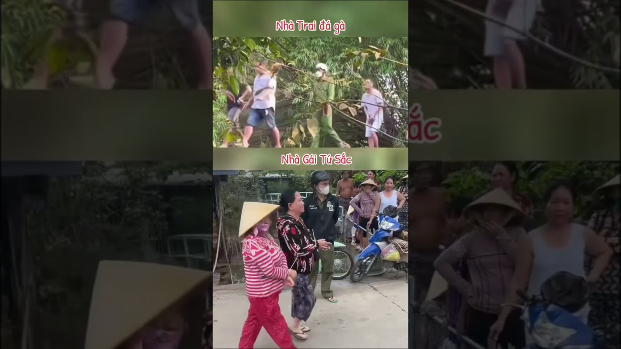 #Shorts #Funnyvideo #Xuhuong #viralvideo #viral #xh #trending #Funny #thinhhanh #tiktok #tiktokvideo