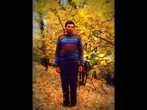 Jale-i pare codrului