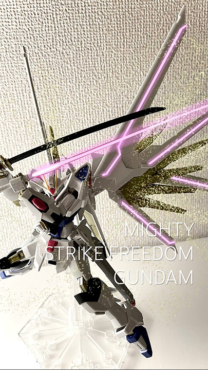 HGCE MIGHTY STRIKE FREEDOM GUNDAM マイティーストライクフリーダムガンダム