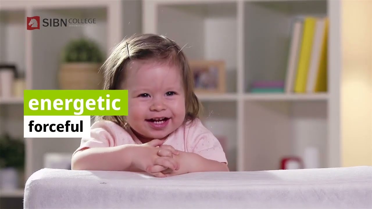 "SIBN College" a vibrant college in the heart of the CBD of Sydney, Australia