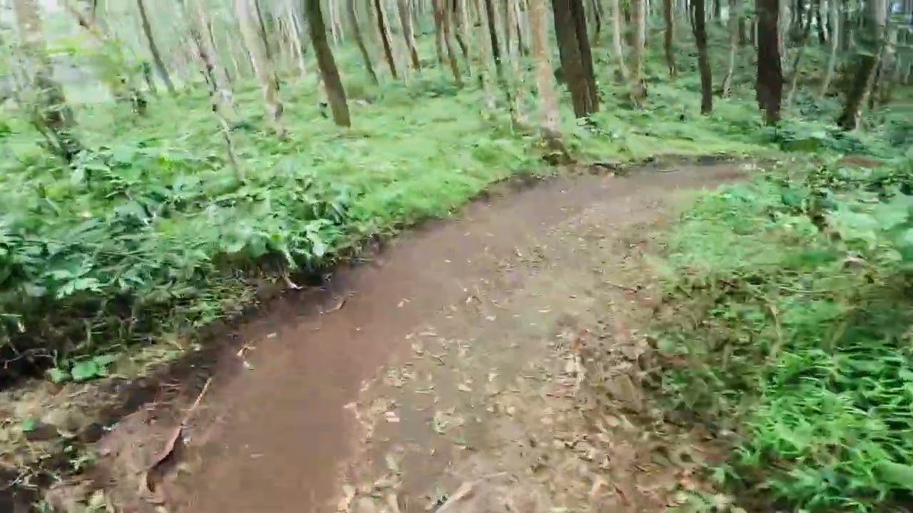 Nyoba trek kinco bike park