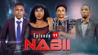 NABII 《11》