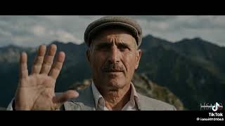 #sakiro sebra dila yeni 