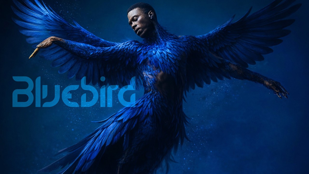 Bluebird - YouTube