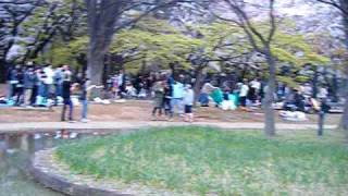 DSCF7181